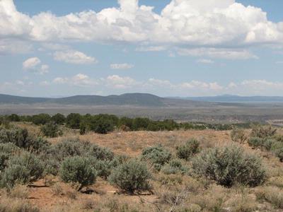 Lot 22 Sandia Canyon