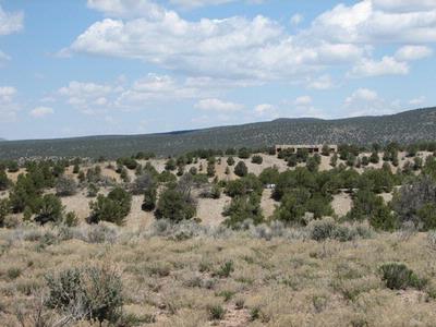 Lot 22 Sandia Canyon