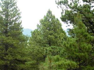 AF Village West Lot 170 - Price Reduction!!