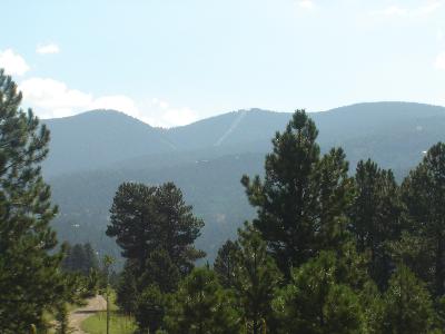Lot 1286
