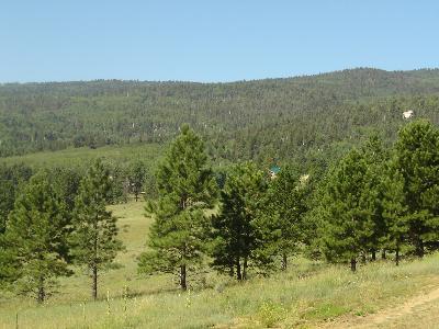Lot 1286