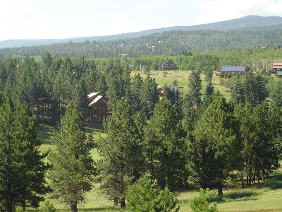 Lot 1286