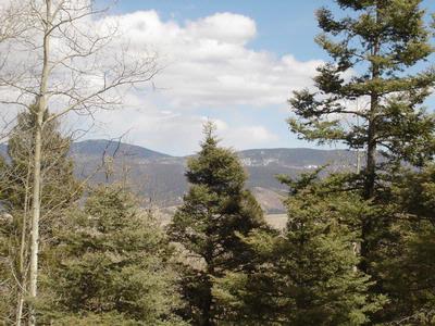 Lot 19 Taos Pines Ranch