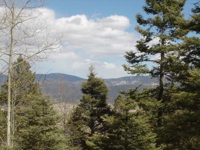 Lot 19 Taos Pines Ranch