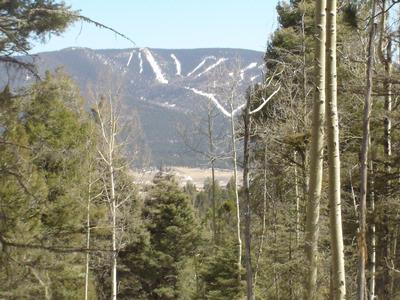 Lot 19 Taos Pines Ranch
