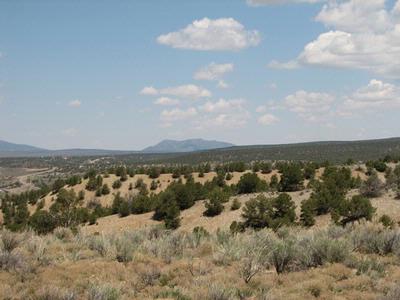 Lot 22 Sandia Canyon