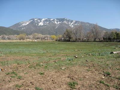 El Salto