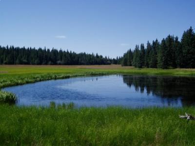 Rosewater Ranch