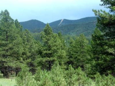 AF Village West Lot 170 - Price Reduction!!