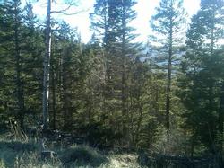 Hidden Lake Lot 83 Hidden Lake