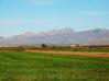 Mesilla Valley Farm