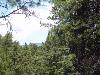 Lot 152 AF Village West - JUST REDUCED!