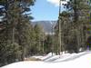 Lot 19 Taos Pines Ranch