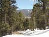 Lot 19 Taos Pines Ranch