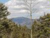 Lot 19 Taos Pines Ranch