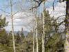 Lot 19 Taos Pines Ranch