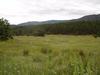 Awesome Horse Property