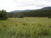 Horse Property in Sierra Bonita