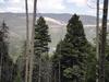 Soaring Views in the Aspens