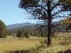 Lot 164 Valle Grande Trail South