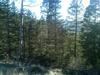 Lot 83 Hidden Lake