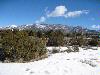 Desirable Des Montes Area