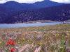 120 Acres on Lakefront!