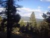 Lot 19 Taos Pines Ranch