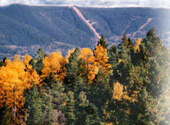 Taos Pines Ranch