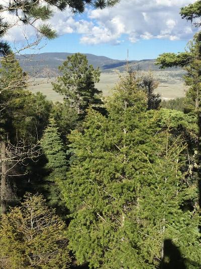 Lot 13 Taos Pines Ranch For Sale Near Taos & Angel Fire ...