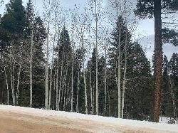 Hidden Lake Lot 1017 Via Del Rey 