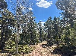 Hidden Lake Lot 55