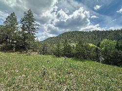 Taos & Vicinity Taos Canyon lot