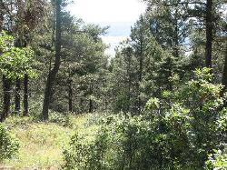 Hidden Lake Lot 73