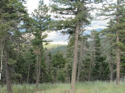 Hidden Lake Lot 11