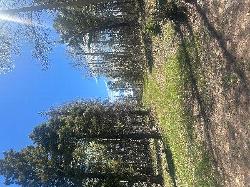 Hidden Lake Lot 86