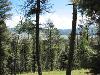 Lot 13 Palo Flechado Ridge Road