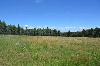 Lot 13 & 14 Pleasant Meadow Drive