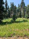 Lot 34 Pleasant Meadow