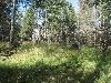 Lot 88