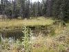 Lot 21 Pleasant Meadow Drive 