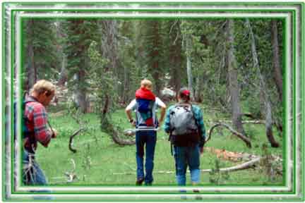 Hiking around Angel Fire is a true commune with nature, in all it's splendor.