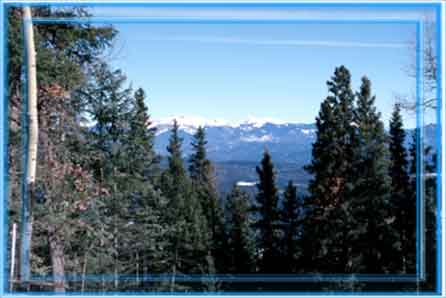 Winter is pristine with the glistening white of our snow set against clear blue skies and evergreens.